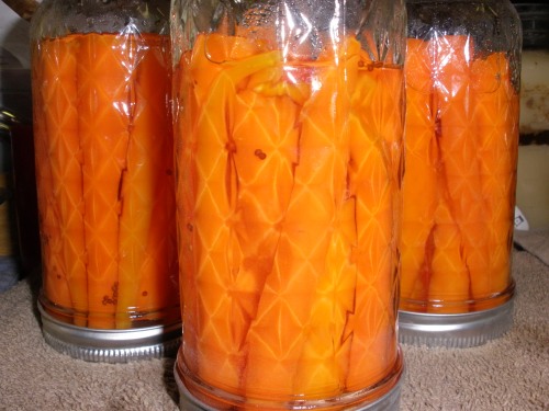 Inverted jars of pickled carrots